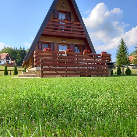 Mountain House Tadic 1 Βίλα Bajina Basta Εξωτερικό φωτογραφία