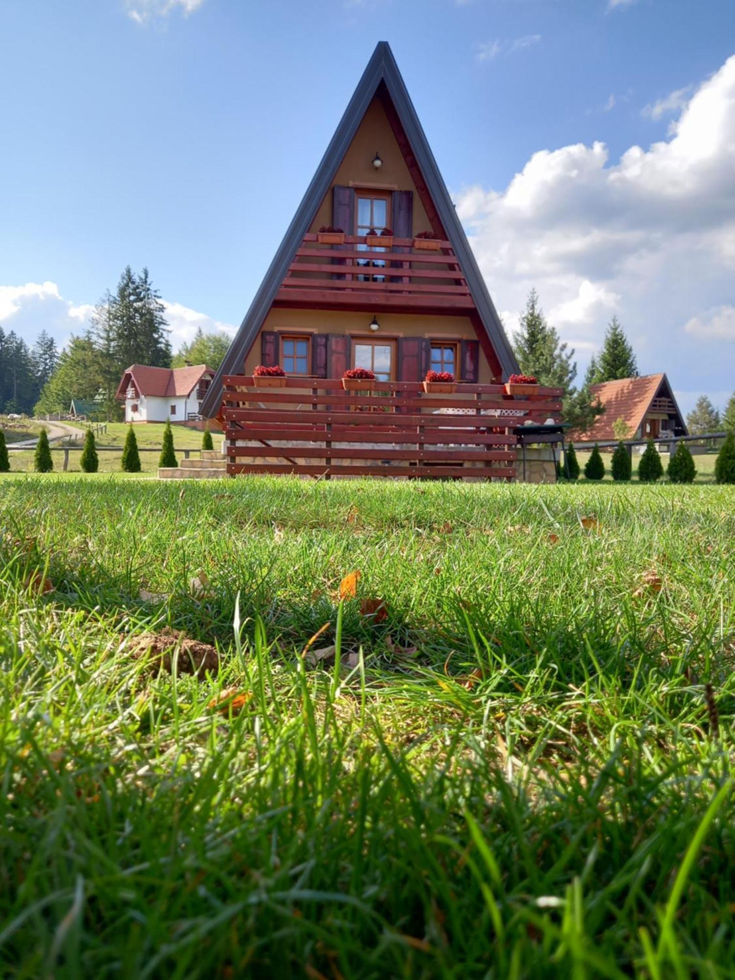Mountain House Tadic 1 Βίλα Bajina Basta Εξωτερικό φωτογραφία