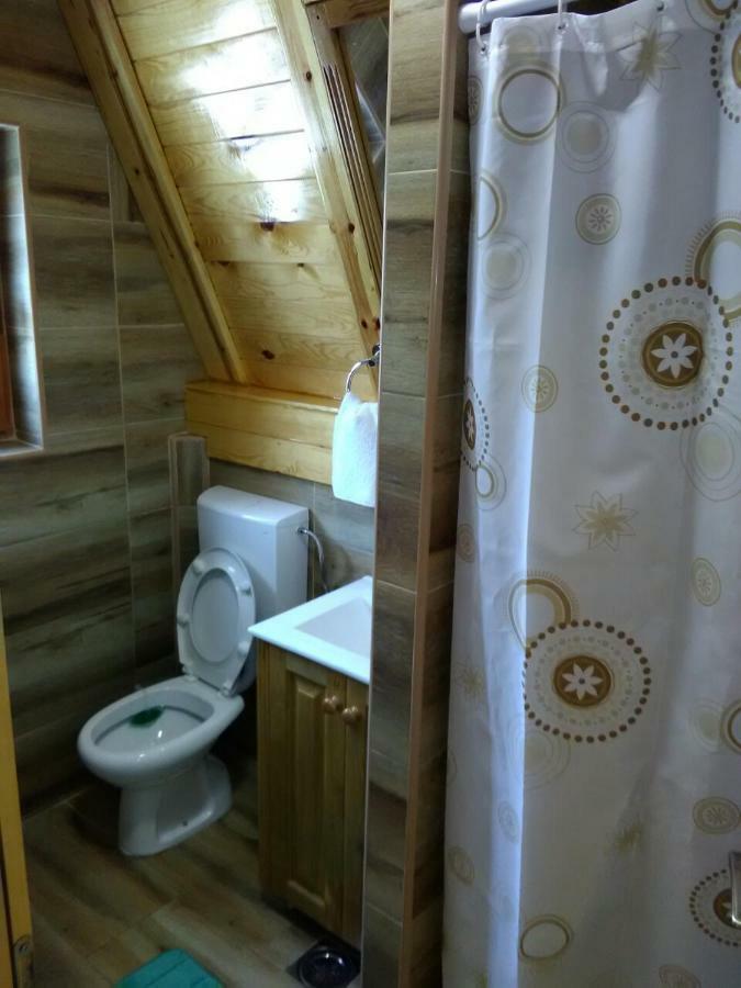 Mountain House Tadic 1 Βίλα Bajina Basta Εξωτερικό φωτογραφία
