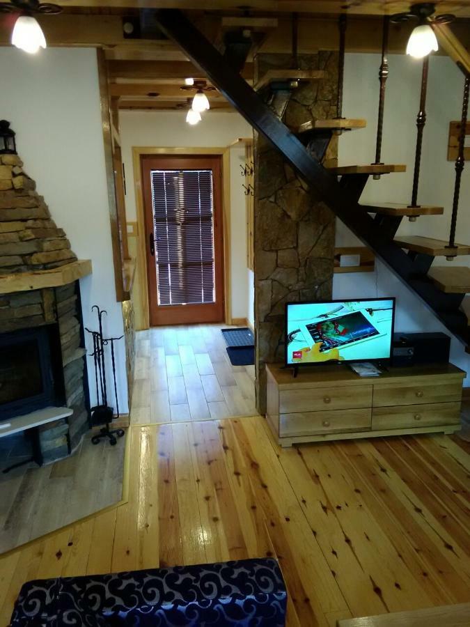 Mountain House Tadic 1 Βίλα Bajina Basta Εξωτερικό φωτογραφία