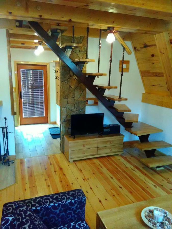 Mountain House Tadic 1 Βίλα Bajina Basta Εξωτερικό φωτογραφία