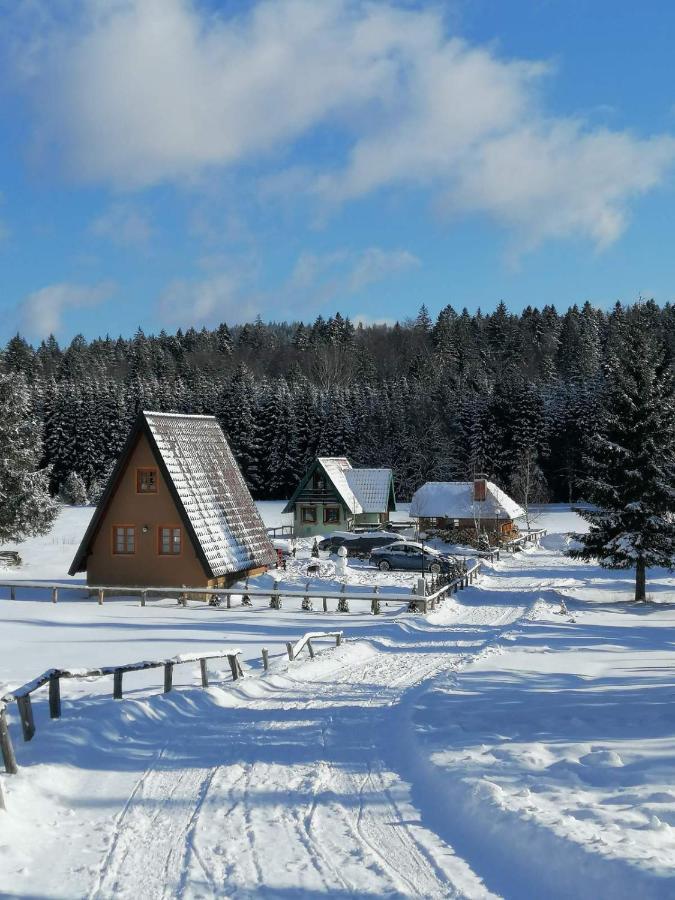 Mountain House Tadic 1 Βίλα Bajina Basta Εξωτερικό φωτογραφία