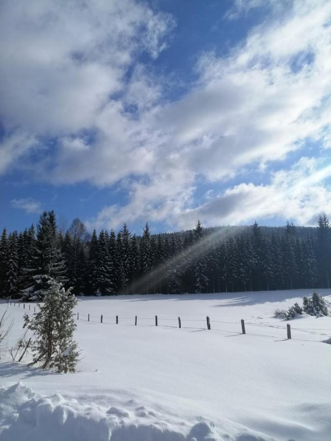 Mountain House Tadic 1 Βίλα Bajina Basta Εξωτερικό φωτογραφία
