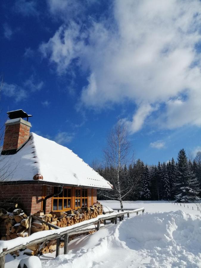 Mountain House Tadic 1 Βίλα Bajina Basta Εξωτερικό φωτογραφία